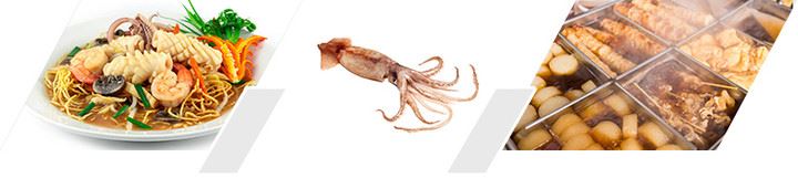 Efficacy-and-Application-Squid-juice