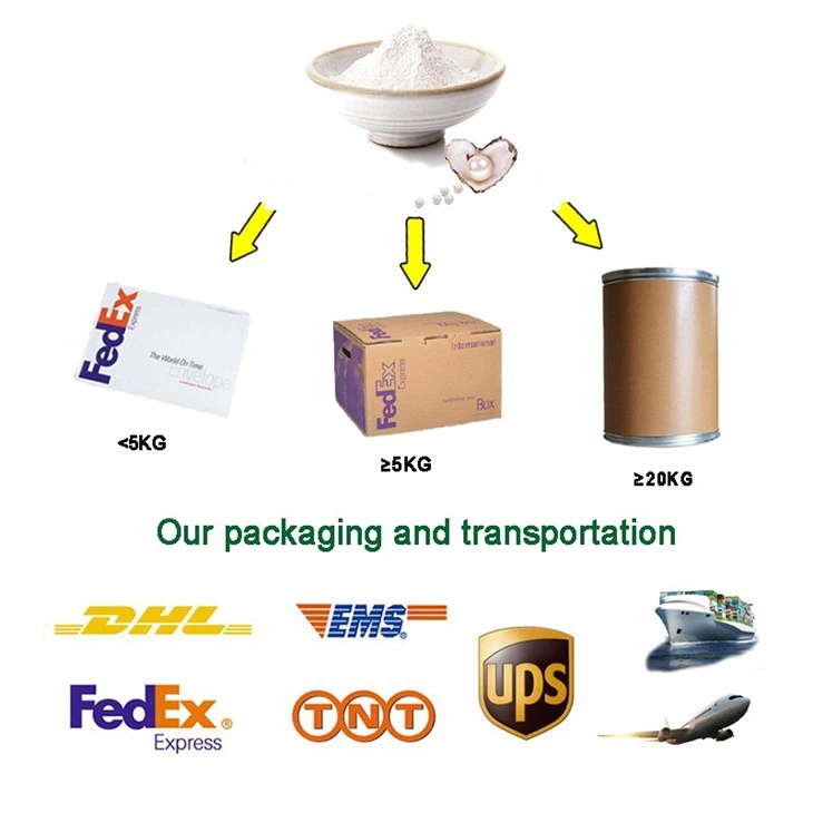 Plant Proteolytic Enzymes suppliers